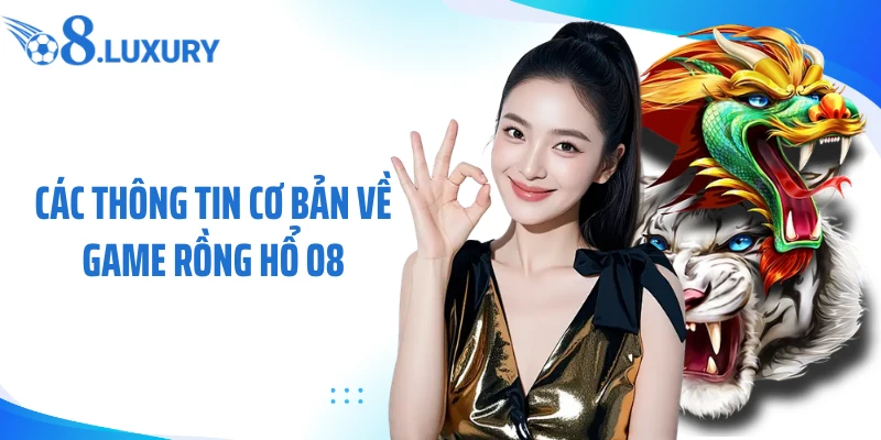 Các thông tin cơ bản về game rồng hổ O8